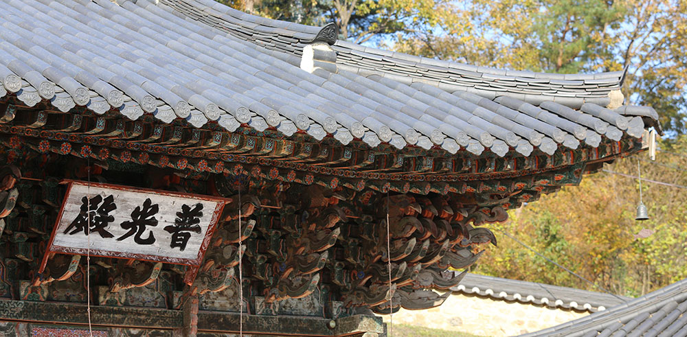 f434e13e85b27aeab0a09b4d4f6ab6a5_1768549915_7669.jpg f434e13e85b27aeab0a09b4d4f6ab6a5_1768549915_7669.jpg